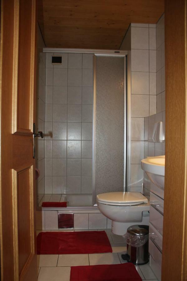 Haus Netzer Irma Apartment Sankt Gallenkirch Ngoại thất bức ảnh